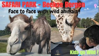 Safari Park  4K  Autosafari  Beekse Bergen  Netherlands  ZOO  Walking Tour wildanimals  4K [upl. by Pascoe95]