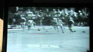 1971 Stawell Gift won by Treva McGregor [upl. by Ennahs396]