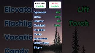 UK vs US English Common Word Differences in 20 Seconds [upl. by Sudbury]