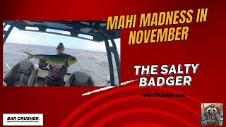 Mahi Madness in November  Barcrusher 615C [upl. by Washington]