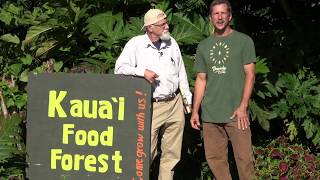 Agroforestry Concepts in the Kauai Foodforest [upl. by Krantz]