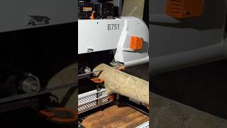 New Sawmill ireland sawmill timber logs holly woodwork machines bandsaw [upl. by Hanny317]