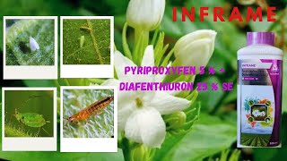 Inframe Adama Insectiside Tamil  Technical Name  Uses  Dose  Price  Combination inframe adama [upl. by Rebeka]