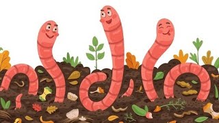 How Earthworms Turn Soil into Gold [upl. by Shem]