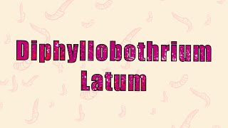 10 Diphyllobothrium Latum  العوساء العريضة [upl. by Cir]