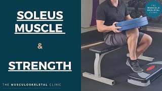 Strengthening the soleus muscle and why you should do it heavy  The MSK Physio [upl. by Ynatil850]