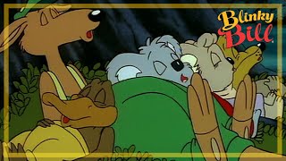 BLINKY BILL AND THE FEUD  Episode 17  Season 2  The Adventures of Blinky Bill [upl. by Ame]