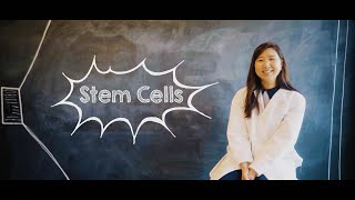 What Are Stem Cells [upl. by Festus]