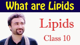 What are Lipids  Class 10th Chemistry [upl. by Anidnamra]