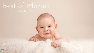 Best of Mozart for Babies Brain Development  Classical Piano for Better Memory amp Cognitive Skills [upl. by Yetsirhc]