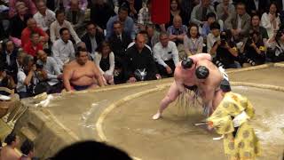 Sekiwake Takayasu 82  Yokozuna Hakuho 100  Sumo  Natsubasho 17 [upl. by Arramat]