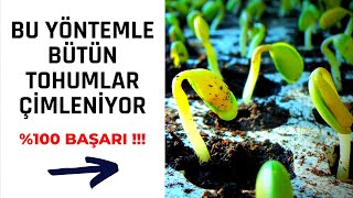 TOHUM ÇİMLENDİRME YÖNTEMİ \u00100 BAŞARILI [upl. by Fonville]