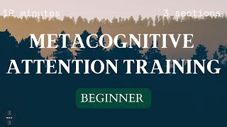 Beginner 1  Attention Training Technique ATT for Metacognitive Therapy MCT [upl. by Nagn]