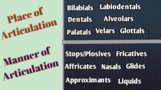 Place and Manner of Articulation in UrduHindi Articulatory Phonetics Speech Organs Speech Sounds [upl. by Weil689]