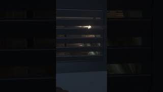 Surprise surprise it can enter the vents  Alien Isolation Gameplay  Scarry Moments [upl. by Eldoree652]