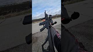 DPMS AR15 [upl. by Laktasic]