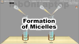 NCERT Class 10th Activity 410  Carbon amp Its Compound  Formation Of Micelles  labOnLaptop VLab [upl. by Quillan332]