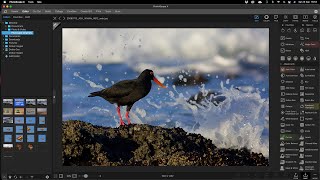 Photoscape Image editing basics by Andrew Aveley [upl. by Fiedling527]