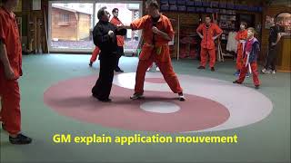 Application selfdefense mouvement GM Walter Toch [upl. by Ardnaek]