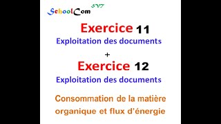 Exercice 11 Exercice 12 quotUnité 1  Consommation de la matière organique et flux d’énergiequot [upl. by Eicam959]