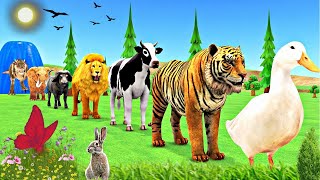 Funny Long Slide Game With Elephant Gorilla Buffalo Hippopotamus Tiger  3d Animal Game  3d Animals [upl. by Akiner]