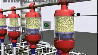 Pig farm automatic feeding system working principle [upl. by Ianej801]