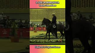 3J DE LA MARQUESA NACIONAL FEDEQUINAS 2023 shortsvideo trocha [upl. by Nysilla15]