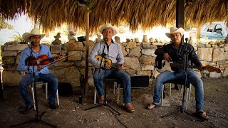 TRIO DIAMANTE HUASTECO  CORRIDO DE TAMAN Video Oficial corridazos Estreno Exitos [upl. by Charpentier]