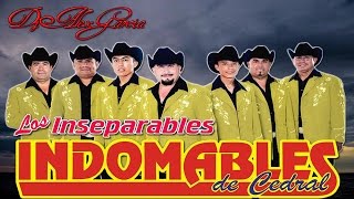 Los Indomables De Cedral Mix [upl. by Dlaregztif]