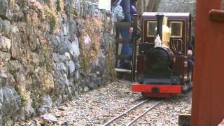 Half an Hour at 29  Conwy Valley Railway Museum Betws y Coed  Douglas loco [upl. by Refinej]