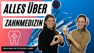 Das musst du übers Zahnmedizinstudium wissen [upl. by Dolora24]