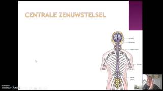 66 Het zenuwstelsel [upl. by Rudie]