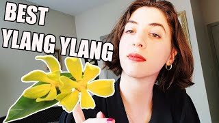 TOP 5 YLANG YLANG FRAGRANCES [upl. by Bradeord]