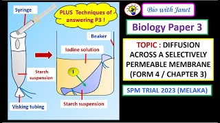 BIOLOGY PAPER 3 QUESTION  DIFFUSION THROUGH VISKING TUBING F4C3  ANSWERING TECHNIQUES FOR P3 [upl. by Colley]