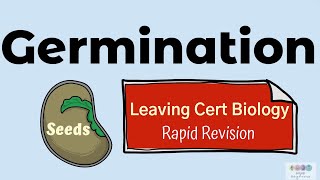 Germination Biology Bugbears Rapid RevisionLeaving Cert Biology 2025 Plant Reproduction [upl. by Swec]