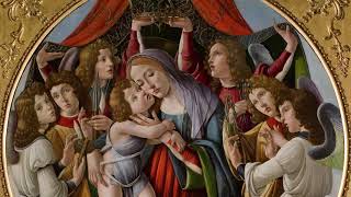 Whats special about Botticelli [upl. by Ailegave]