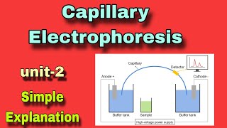 Capillary electrophoresis ll part2 ll in hindi [upl. by Ottie496]