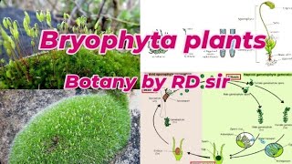 bryophyta plants ☘️ rd sir neet [upl. by Briny848]