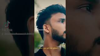 DannawaAdare🥰 Ayshcharya DILUBeats trending trendingsong viral viralsong shortvideo [upl. by Gery]