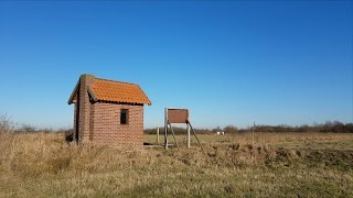 Rieselfelder Münster Germany 2017 im Winter [upl. by Merriott127]