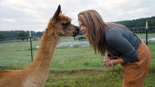 The Animals of Roots amp Refuge Farm [upl. by Grory]