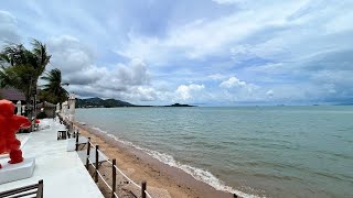 The Deck Beach Club 🔴 Bang Rak beach  Koh Samui Live cam [upl. by Alma]