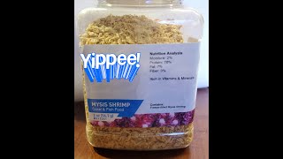 Rehydrate Freeze Dried Mysis [upl. by Yajet785]