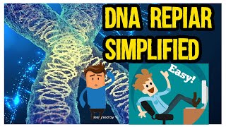 DNA Repair mechanism quick and easy in UrduHindi [upl. by Huberman]