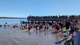 17th Annual Penguin Plunge in Nyack [upl. by Vi]