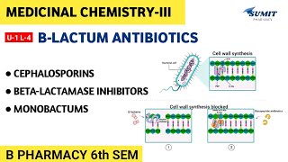 Cephalosporin BetaLactamase Inhibitors Monobactums  Unit1 Medicinal Chemistry III 6th sem [upl. by Allekram342]