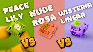 EPOMAKER Linear Switch Acoustic tests Peace Lily vs Nude Rosa vs Wisteria Linear Switches [upl. by Lillian]