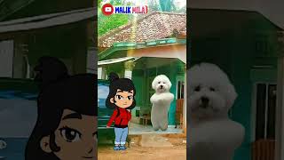 Tame dog shorts doglover dog funny [upl. by Odella503]