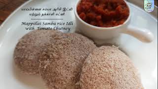 Mappillai Samba rice Idli amp Tomato Chutney  மாப்பிள்ளை சம்பாஅரிசி இட்லி amp தக்காளி சட்னி  homefood [upl. by Ansaev]