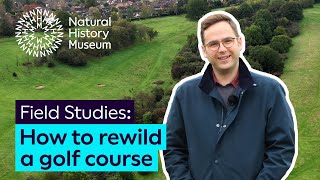 How to rewild a golf course  Field Studies [upl. by Patrizius]